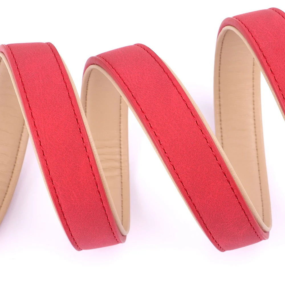 Laisse en cuir