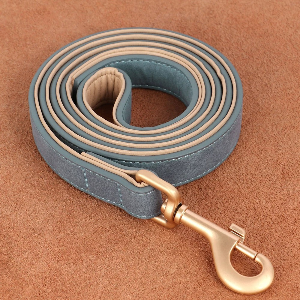 Laisse en cuir
