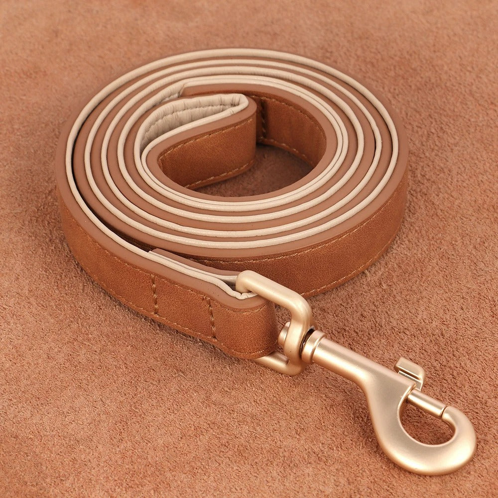 Laisse en cuir