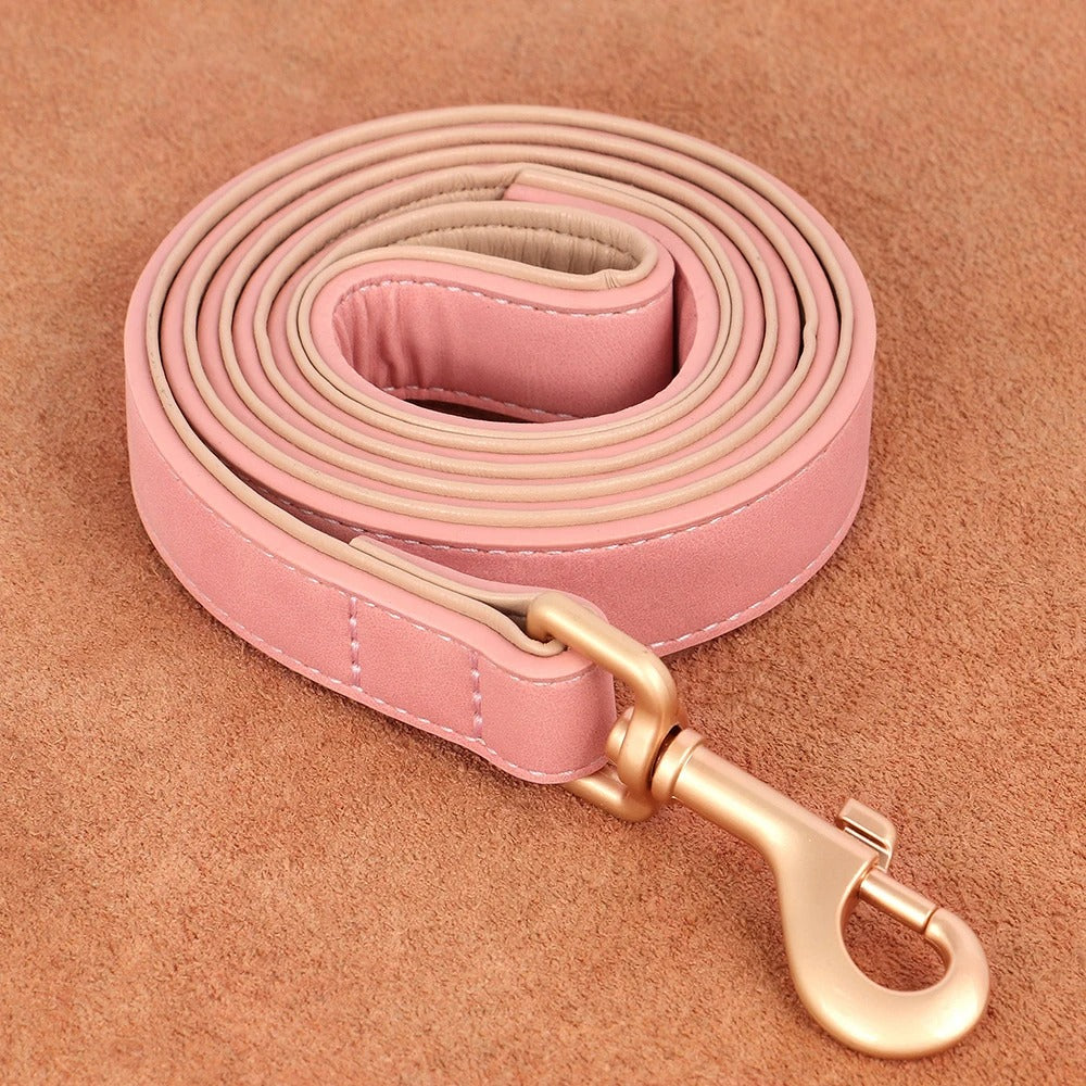 Laisse en cuir