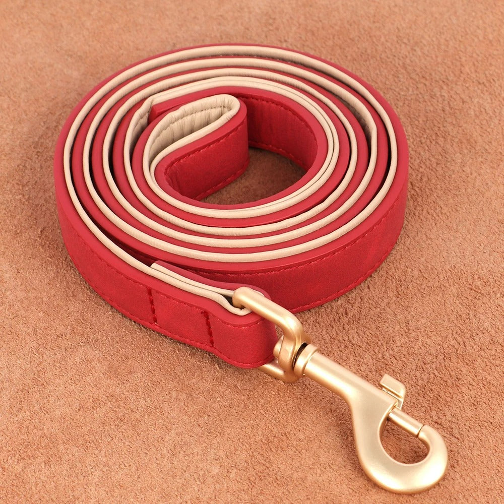Laisse en cuir