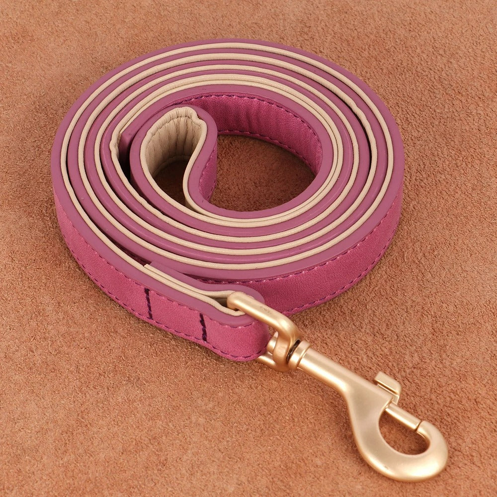 Laisse en cuir