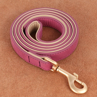 Laisse en cuir