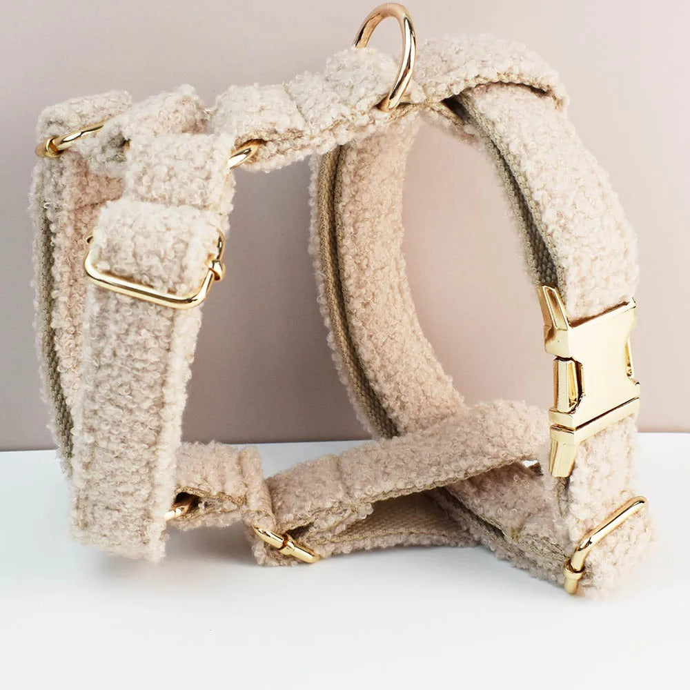 Ensemble harnais collier & laisse