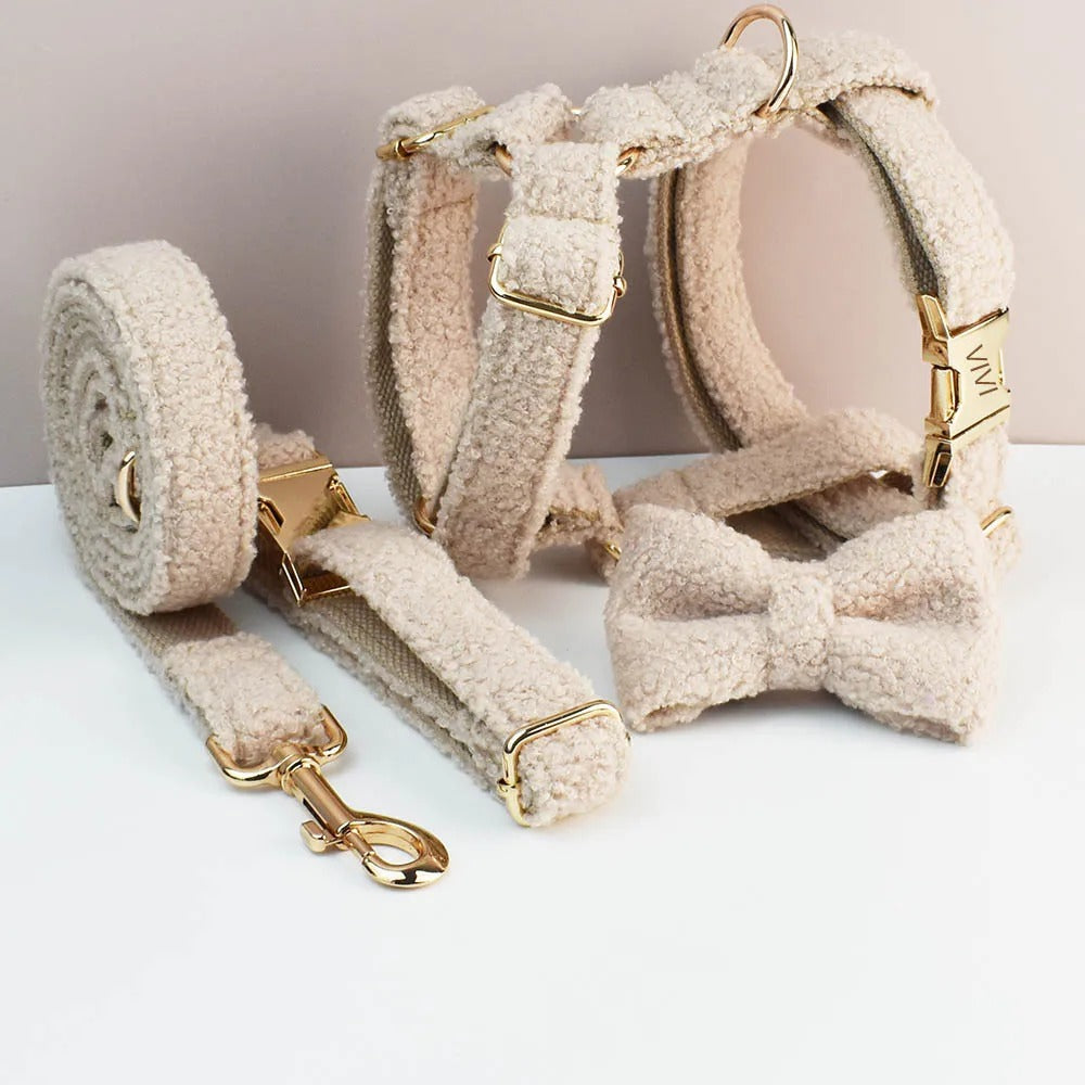Ensemble harnais collier & laisse