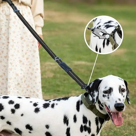 Laisse anti-choc pour chien