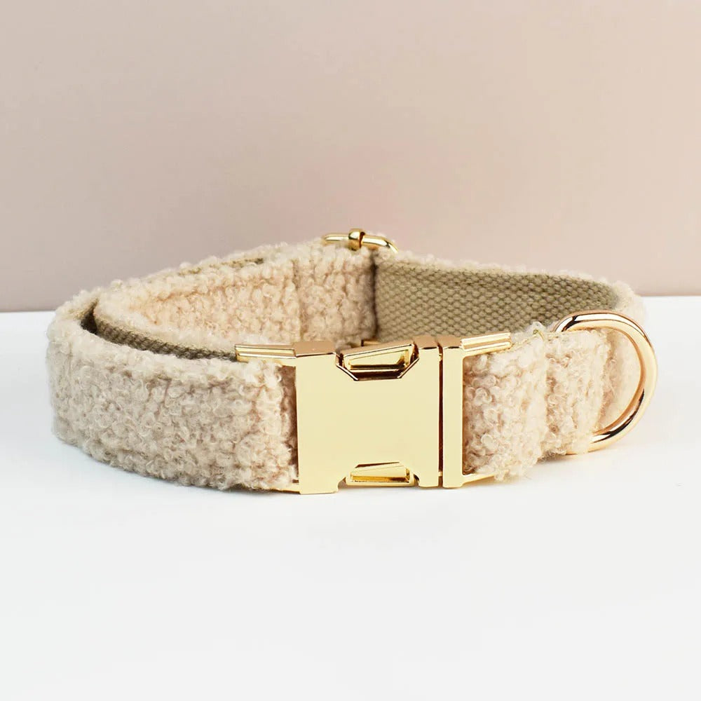 Ensemble harnais collier & laisse