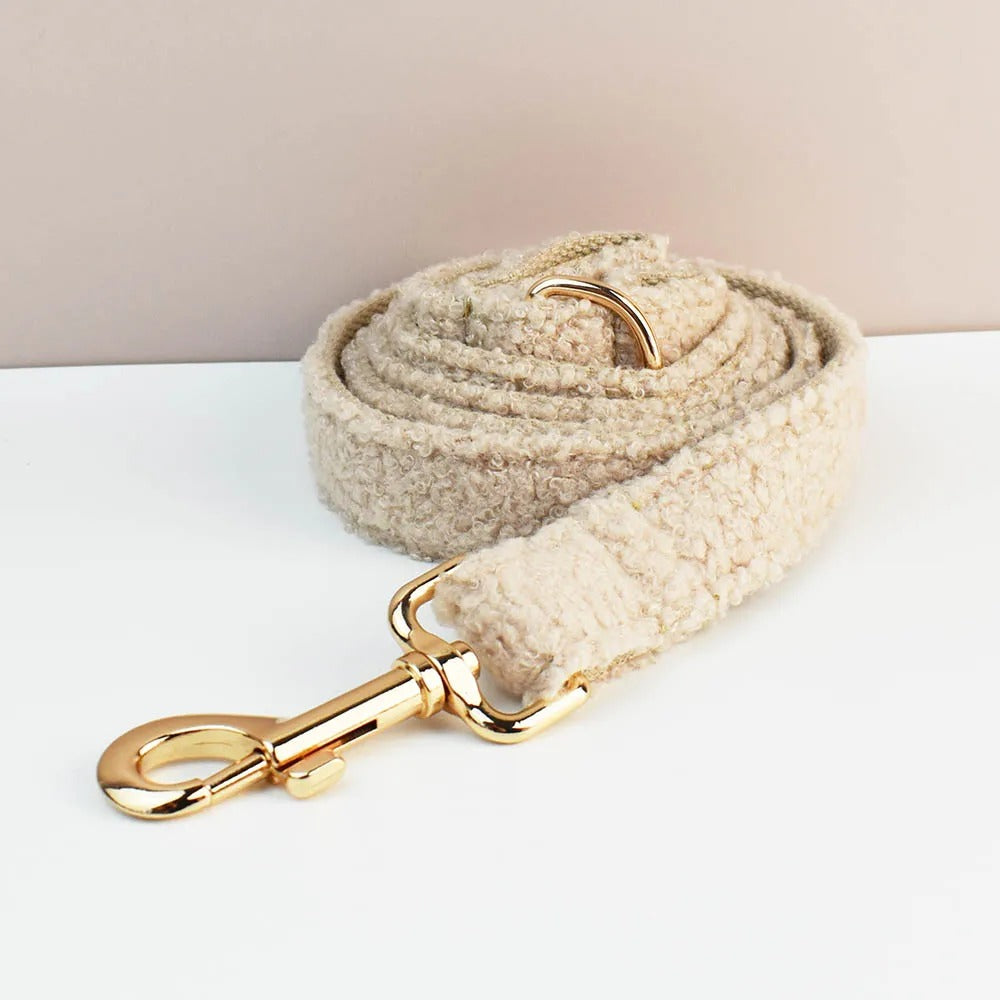 Ensemble harnais collier & laisse